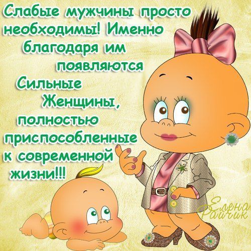 Георгины, стихи в картинках про мужчин прикольные