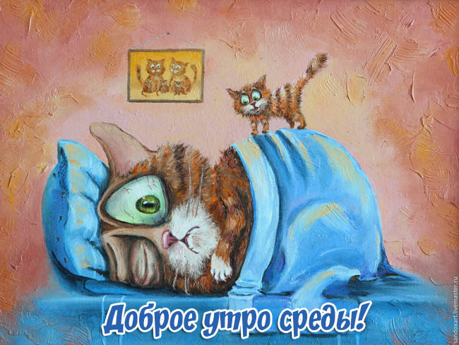 Доброе утро среды - прикольные картинки