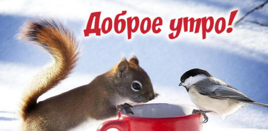 Открытки прикольные с добрым утром отличного дня зимой среда