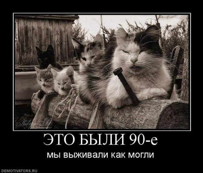 Самые смешные картинки про котов с надписями и без (25 штук)