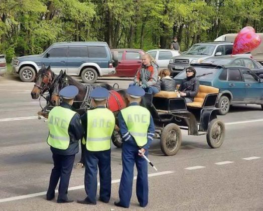 Приколы про гаишников в картинках