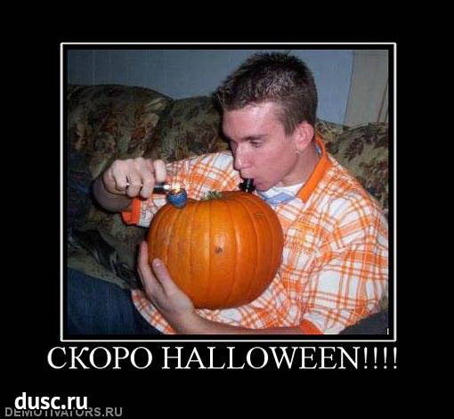 Прикольные и смешные картинки про Хэллоуин (Halloween)
