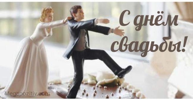 Прикольные поздравления на свадьбу с вручением ⋆ Мегапозитив