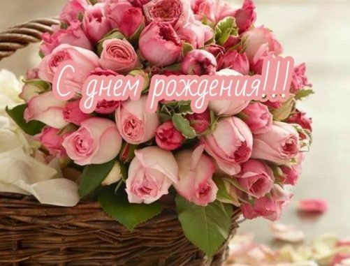 Прикольные поздравления с Днем рождения девушке - Новости на antenna-unona.ru