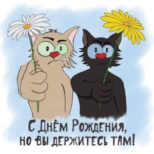 Именины смешная картинка