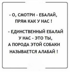 Картинки прикольные для настроения ржачные мужчине