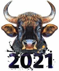 Поздравления с Новым годом быка