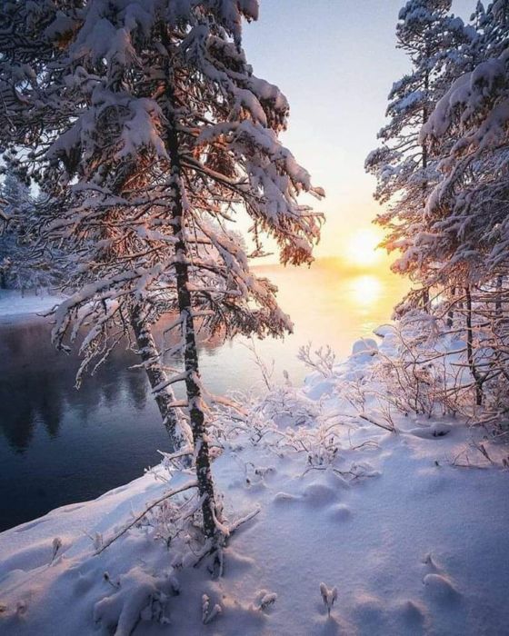 Зимняя природа картинки