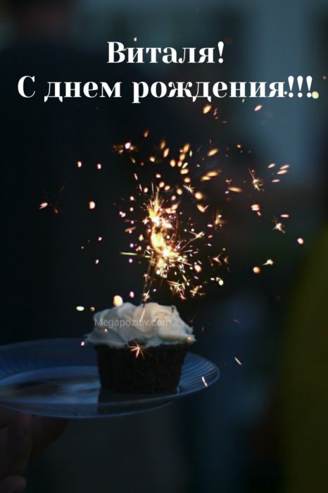 С днем рождения Виталий